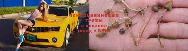 таблы Горняк
