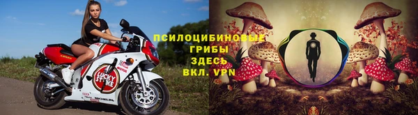 таблы Новокубанск